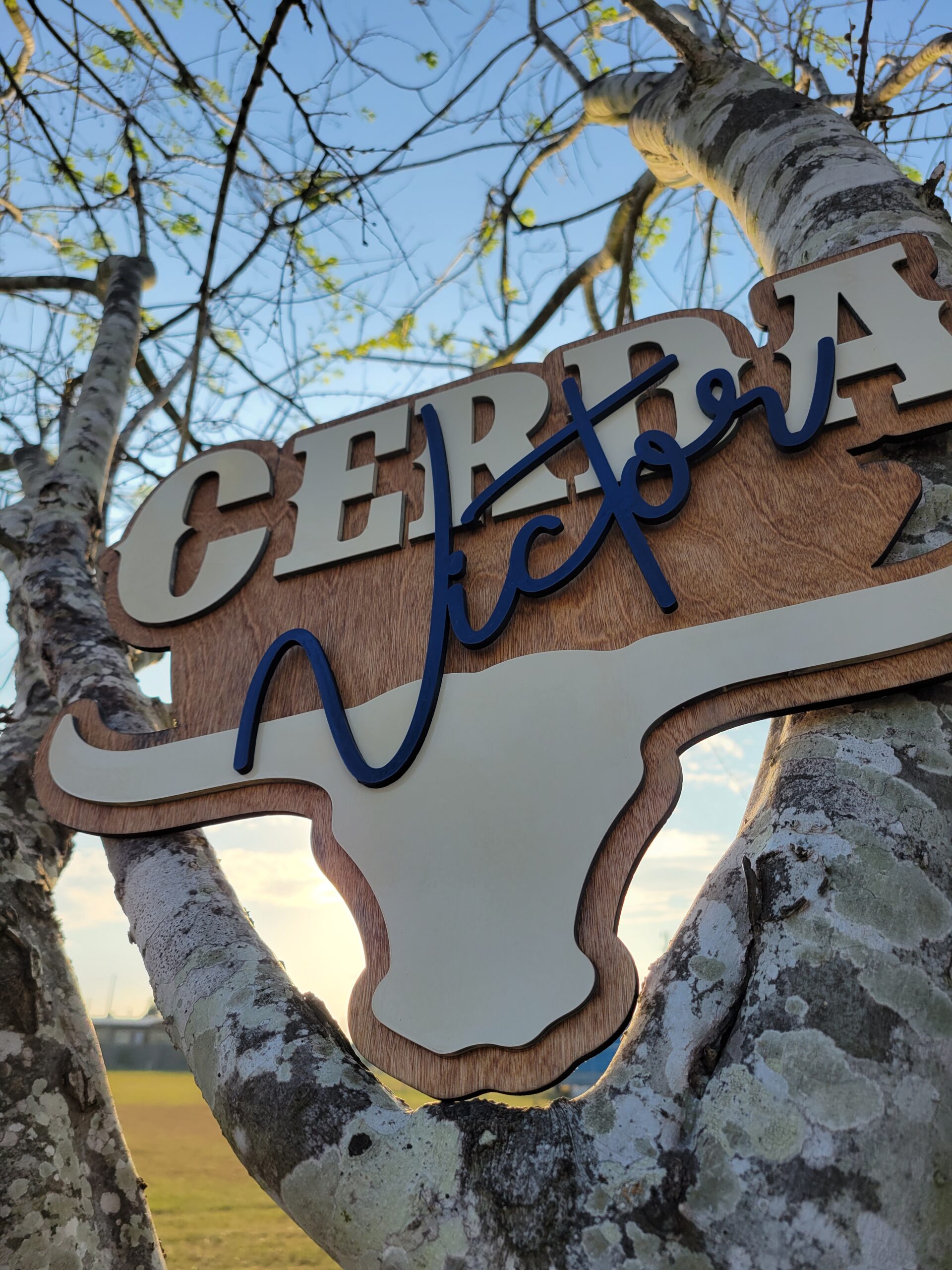 Custom Longhorn Nursery Name Sign: Western Baby Decor - Image 2