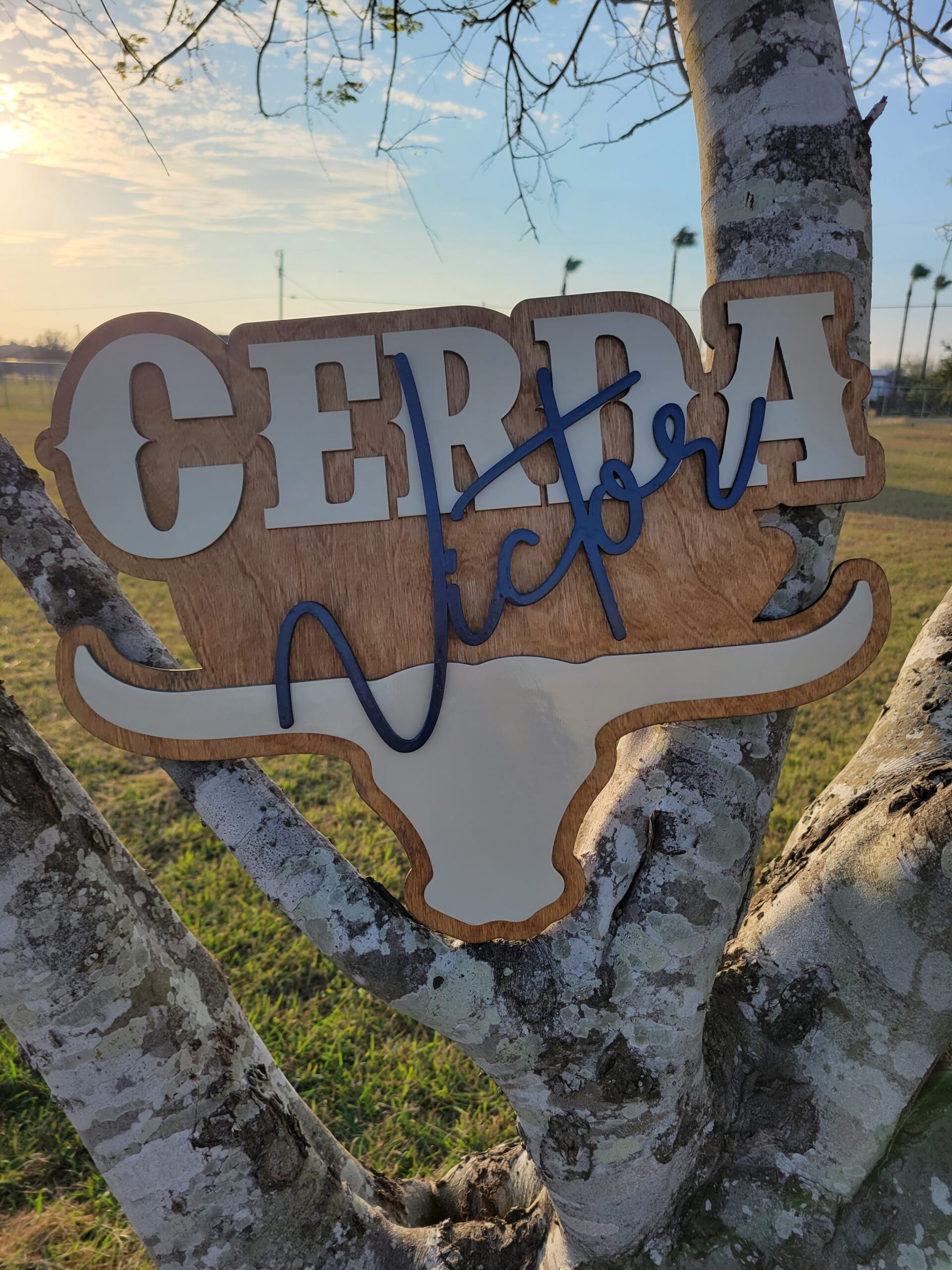 Custom Longhorn Nursery Name Sign: Western Baby Decor
