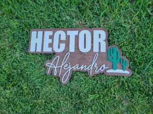 Personalized Western Nursery Name Sign: Custom Cactus Decor